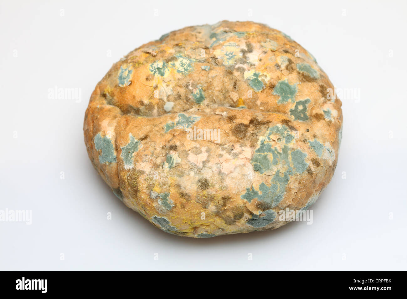 Mould growing old bread nobody on white Stock Photo