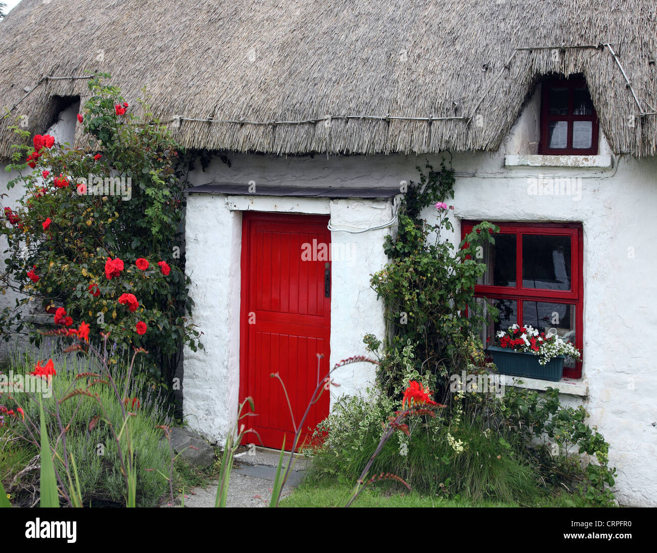 A thatched cottage in the fishing village of Clogherhead. Stock Photo