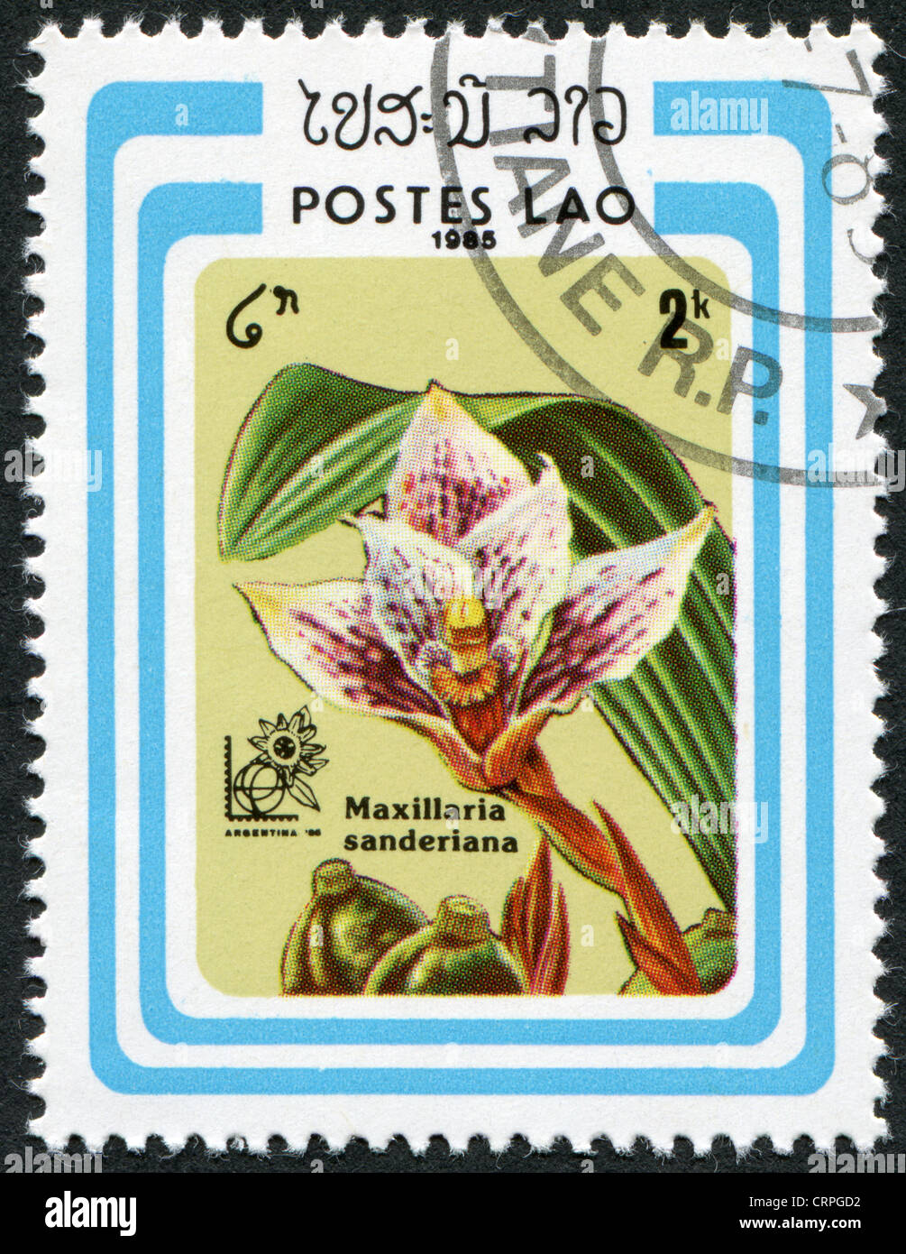 LAOS-CIRCA 1985: A stamp printed in the Laos, depicts a flower Maxillaria sanderiana, circa 1985 Stock Photo