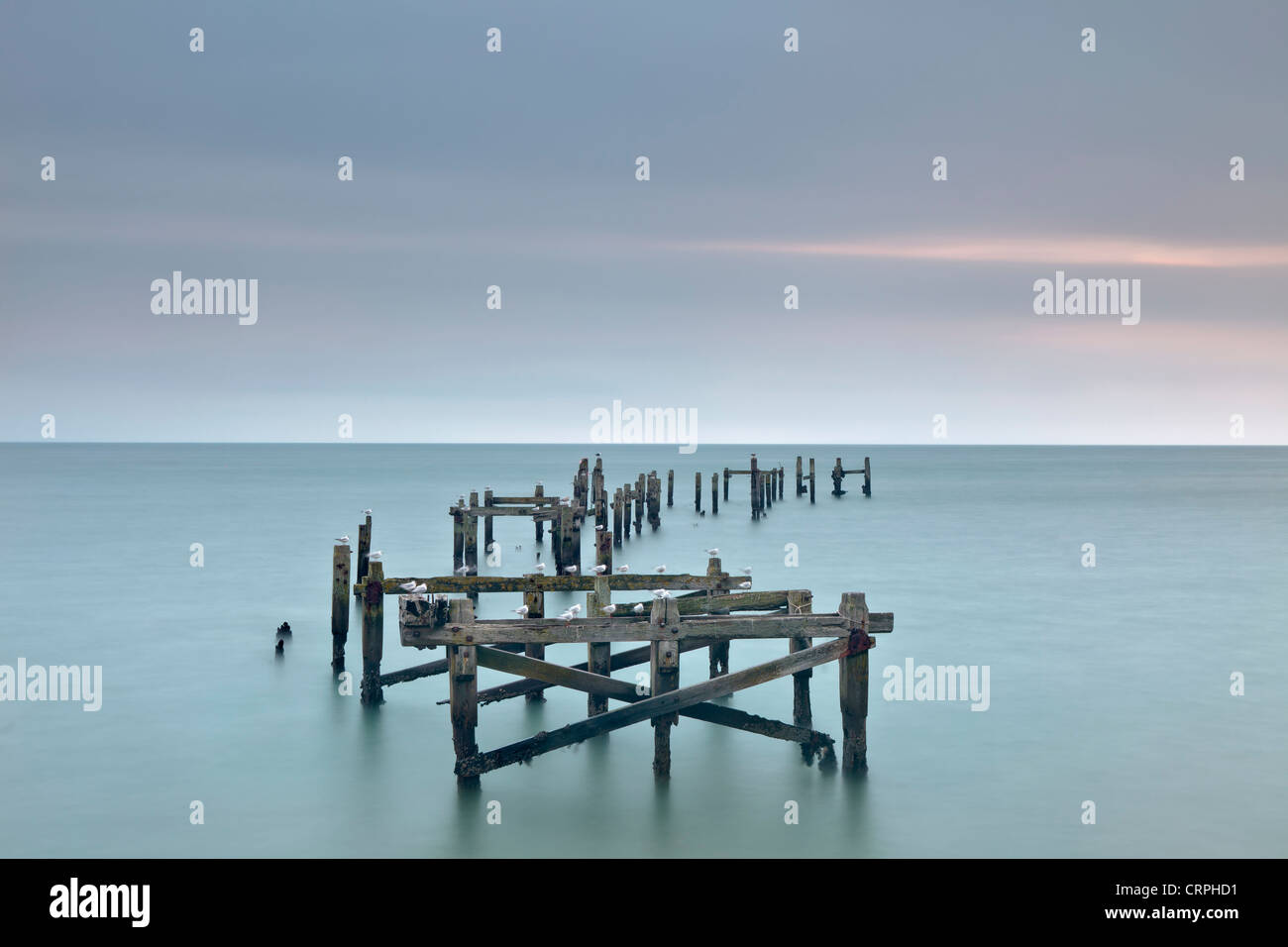 Seagulls perched on the rotting supports of the old wooden pier. Stock Photo