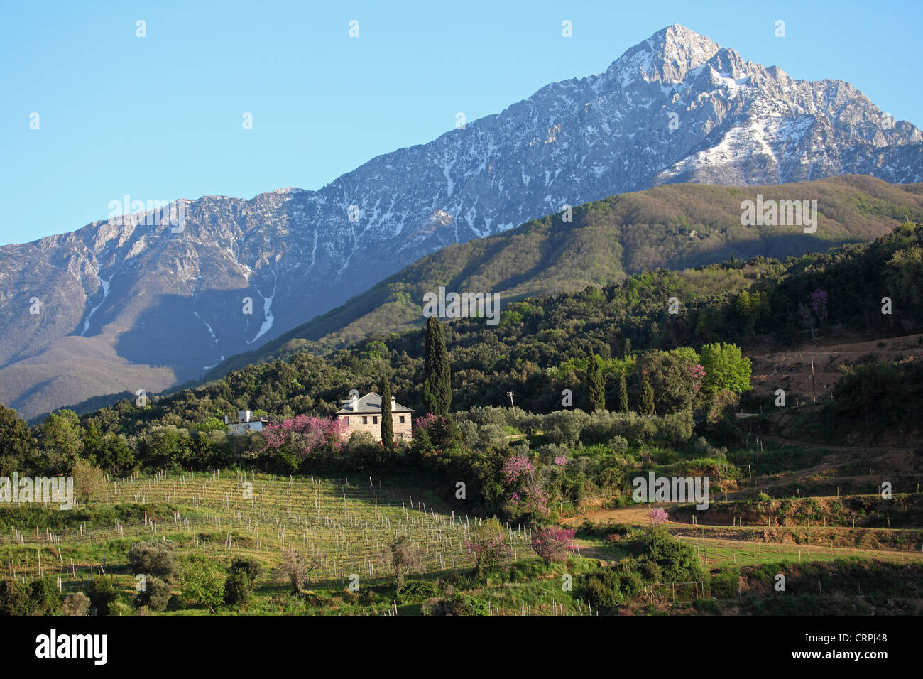 Farmland on the slopes of Mount Athos in Greece Stock Photo Alamy