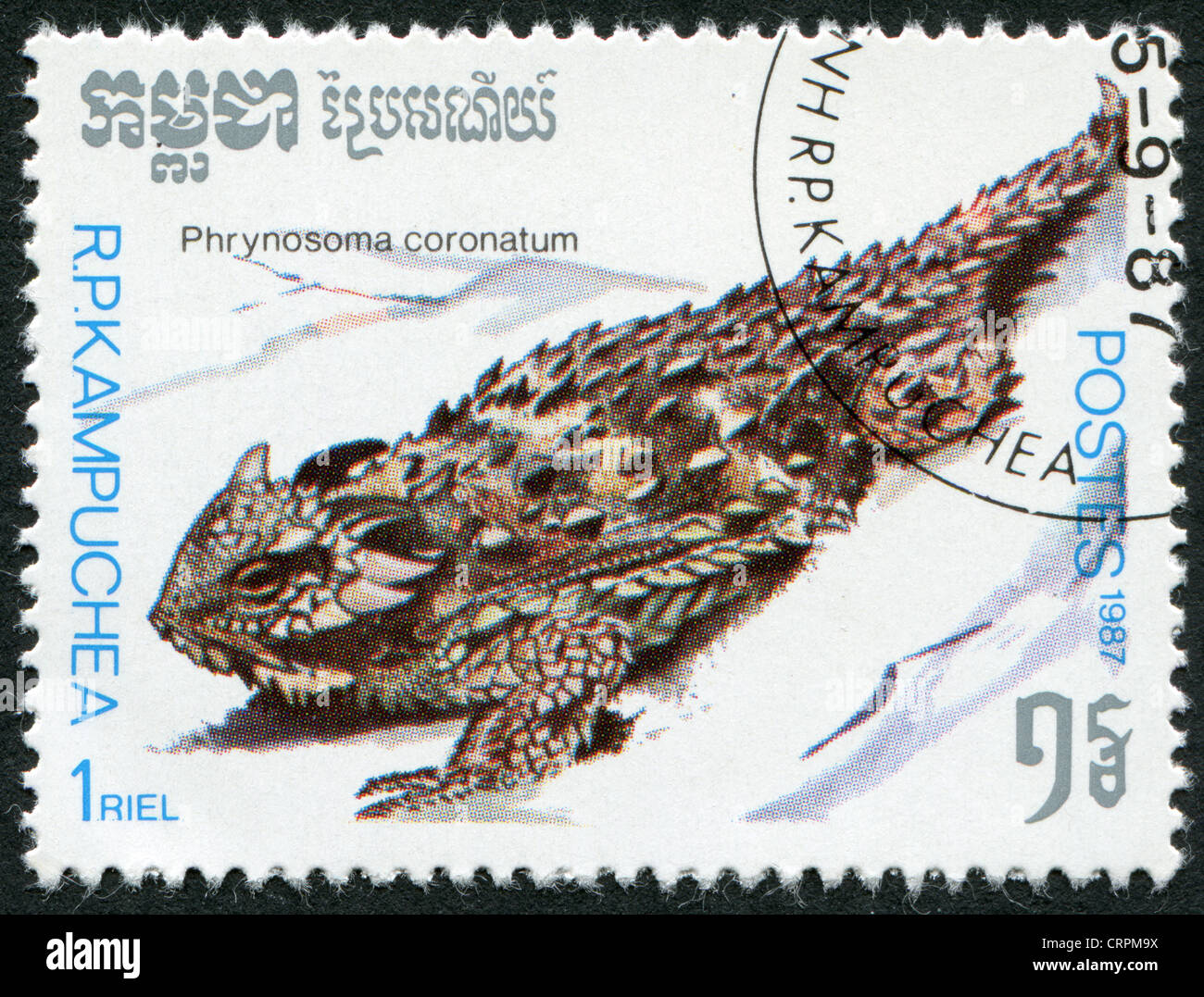 KAMPUCHEA-CIRCA 1987: A stamp printed in the Cambodia, depicts the coast horned lizard (Phrynosoma coronatum), circa 1987 Stock Photo