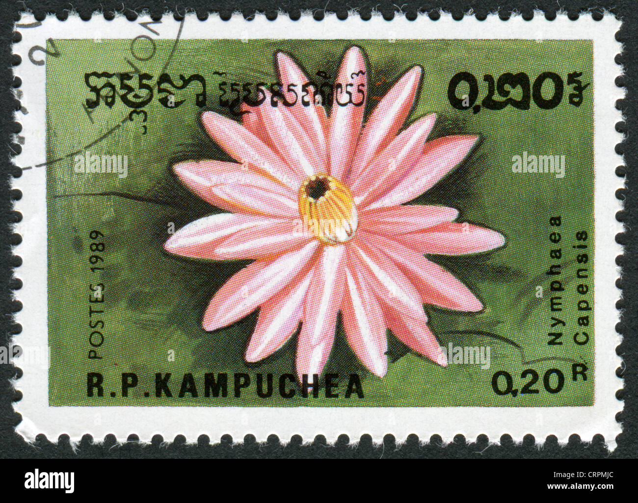 KAMPUCHEA-CIRCA 1989: A stamp printed in the Cambodia, depicts a flower ...