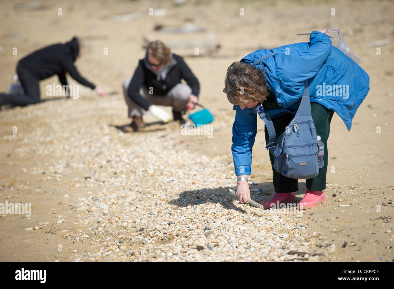 and collecting sea glass hires stock photography and
