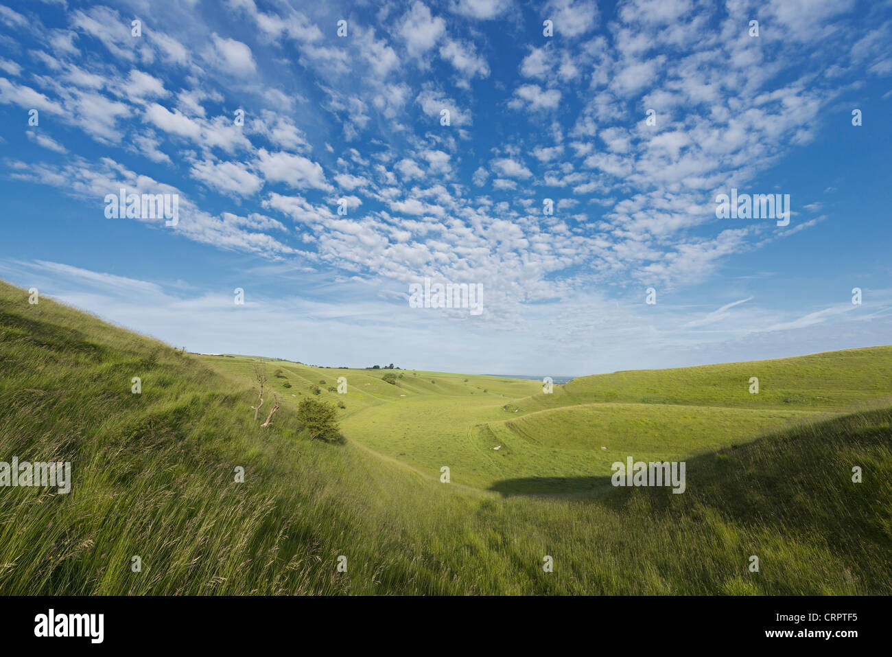 Chalk downland at Calstone Coombes, Wiltshire Stock Photo
