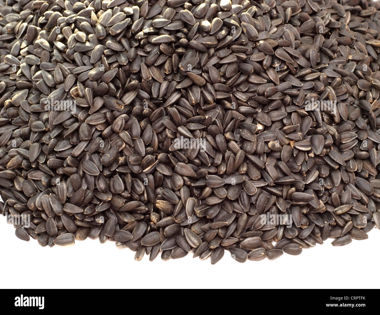 black sunflower seeds isolated over white Stock Photo Alamy