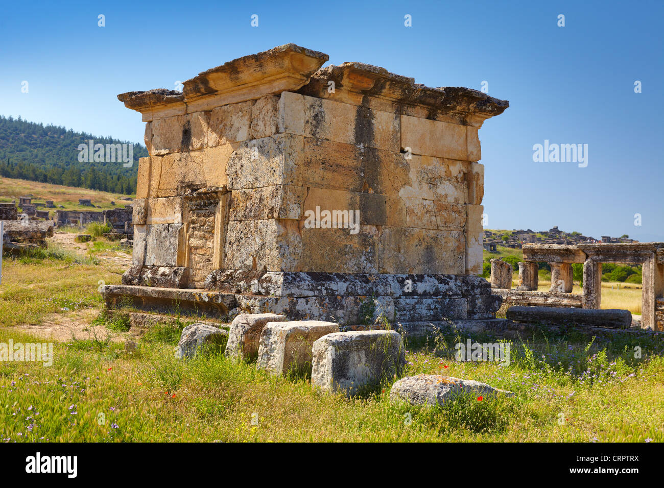 Hierapolis - Turkey, ruins of the ancient city, Necropolis, Tomb 175 (2nd - 3rd centuries AD) UNESCO Stock Photo