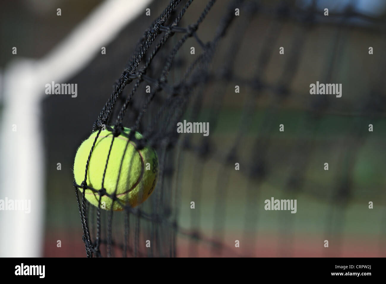 Unenforced error Tennis ball in the net Stock Photo Alamy