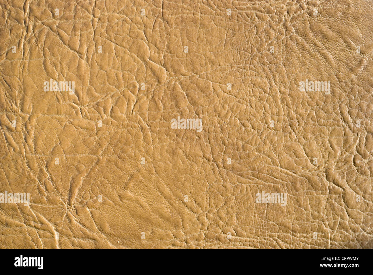 rough leather great as a background Stock Photo Alamy