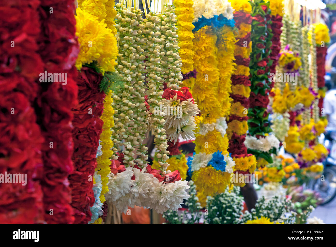 South East Asia, Malaysia, Kuala Lumpur, Little India, flower market on ...