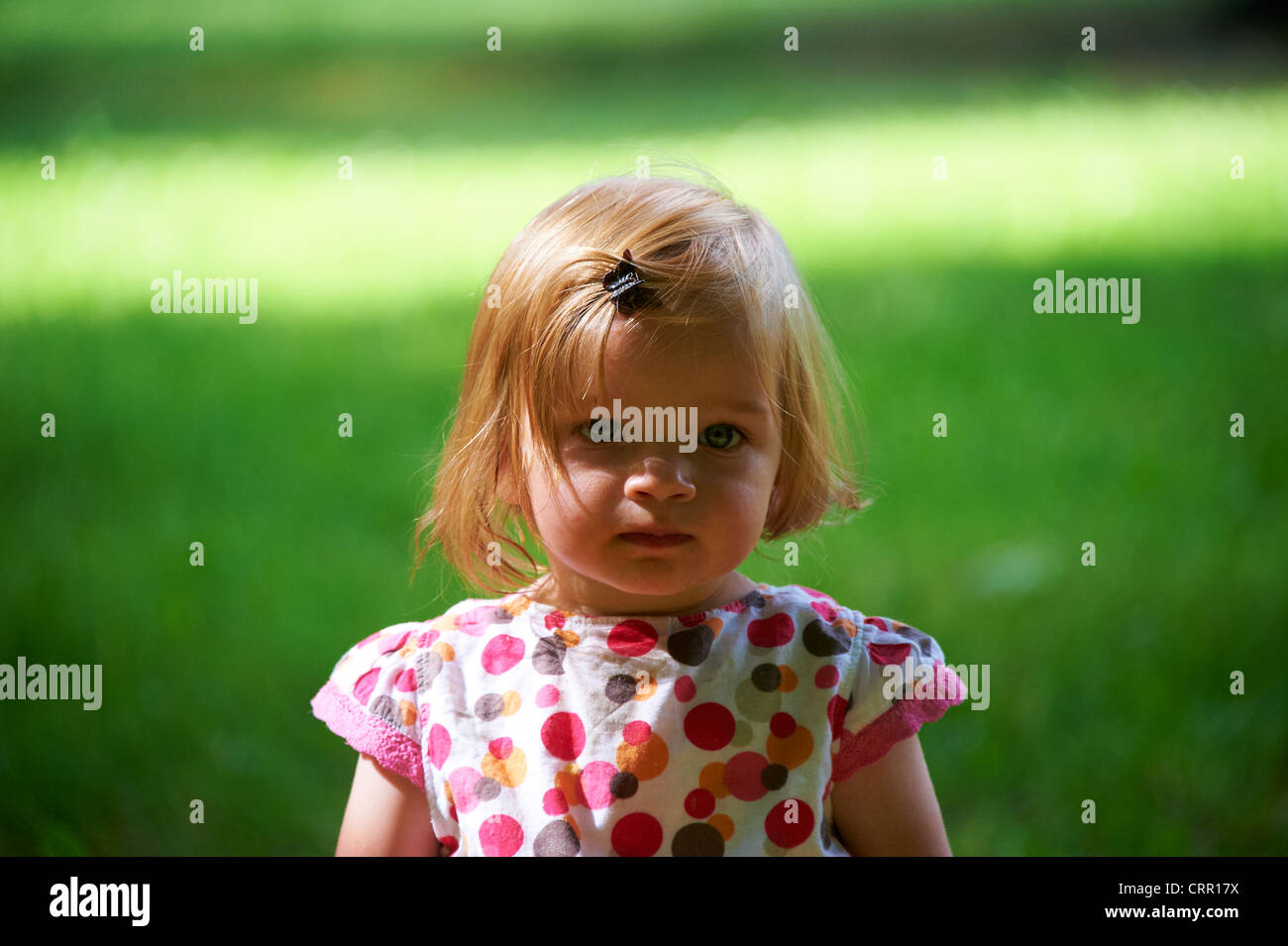 Portrait of child blond baby girl in summer park Stock Photo - Alamy