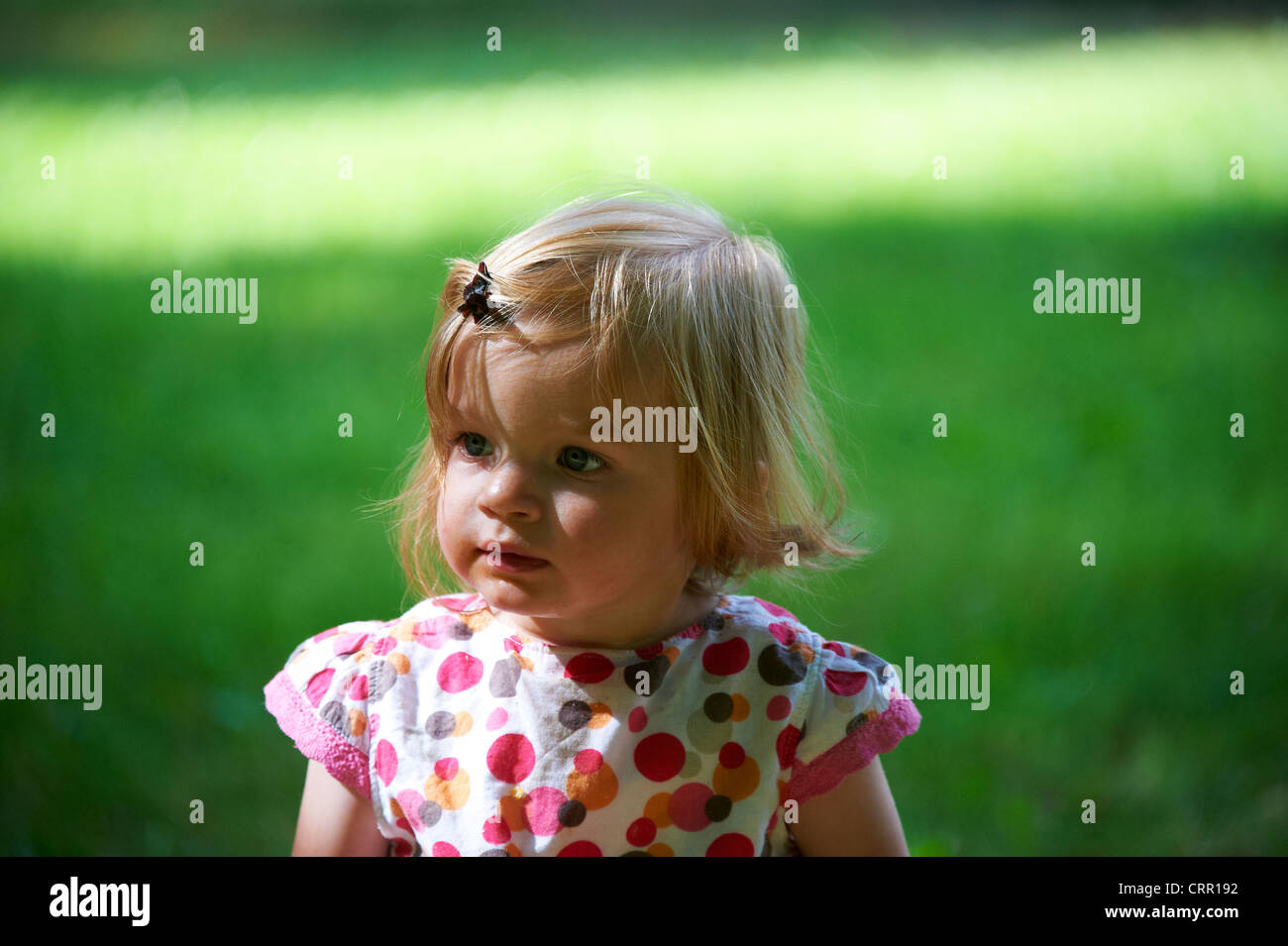 Portrait of child blond baby girl in summer park Stock Photo - Alamy