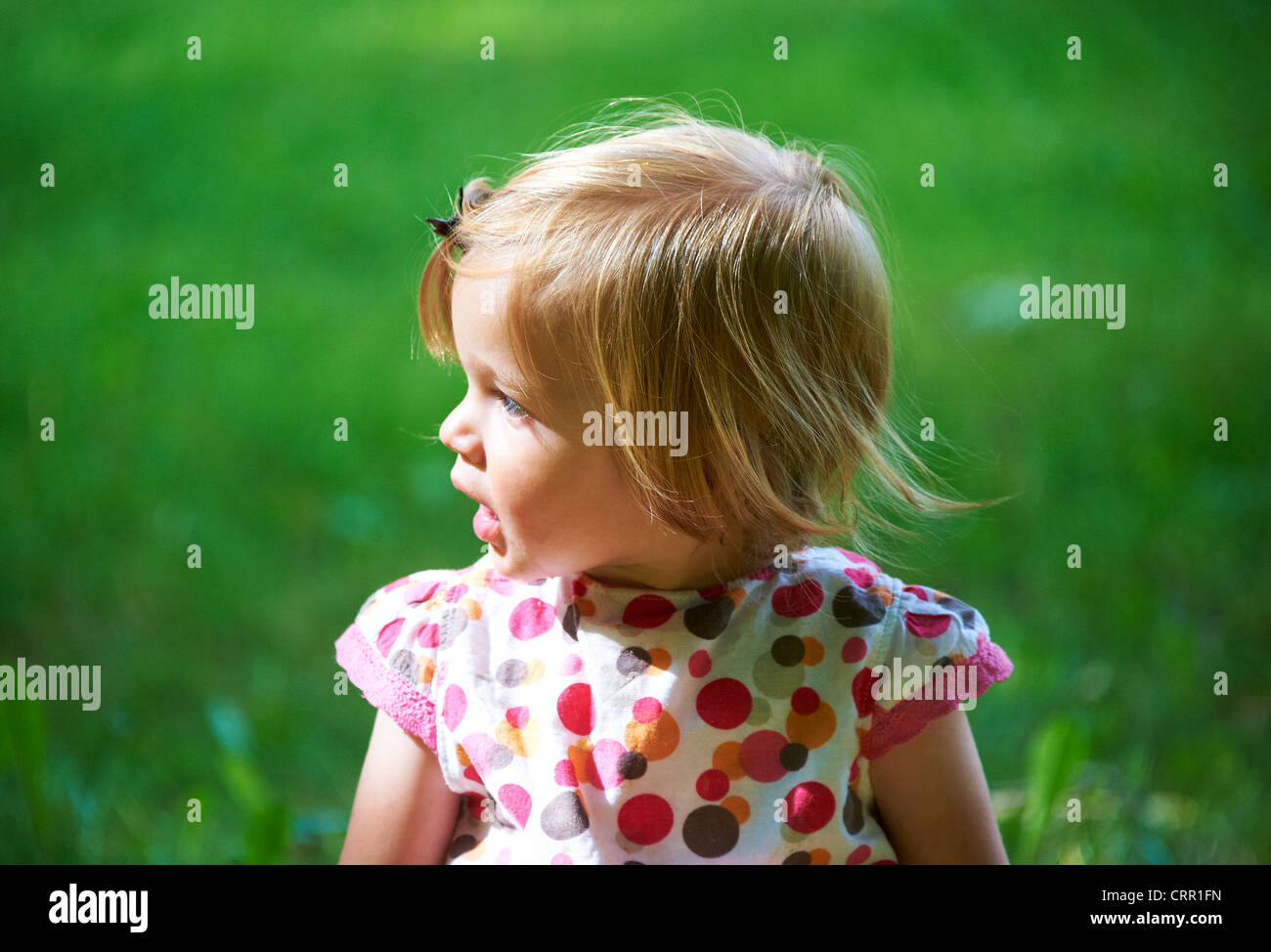 Portrait of child blond baby girl in summer park Stock Photo - Alamy