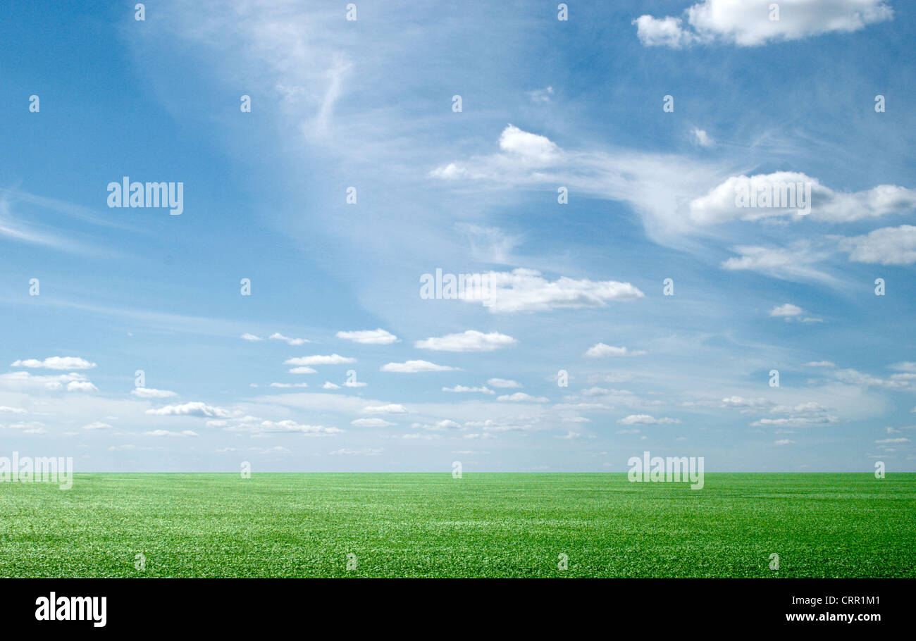 beauty blue sky and green grass Stock Photo - Alamy