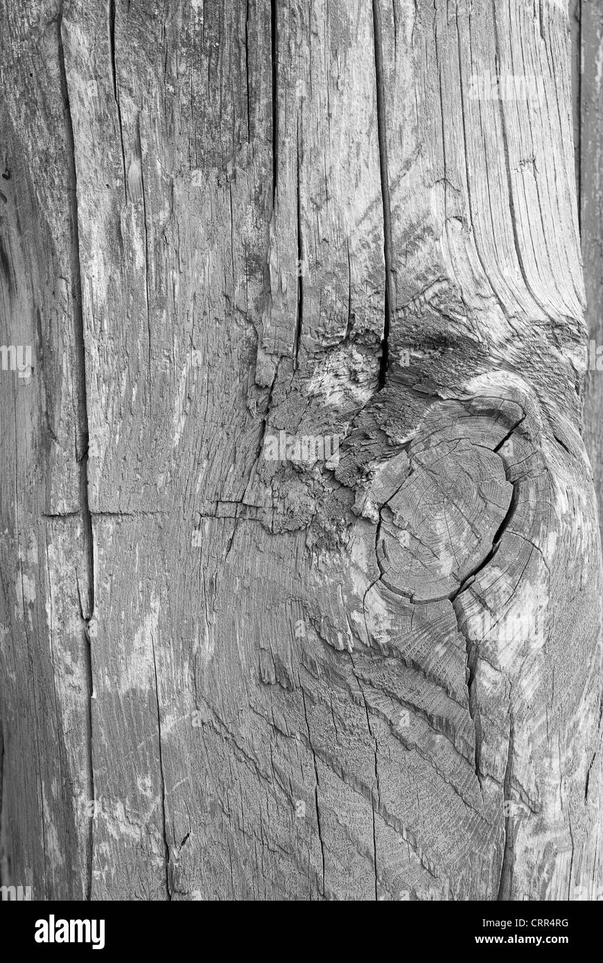 close up view of wooden texture Stock Photo