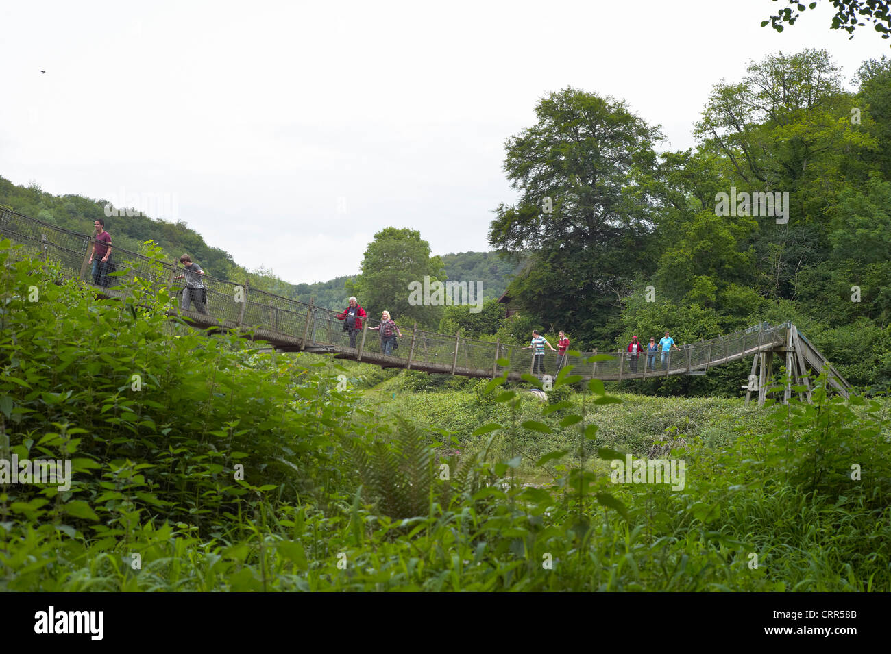 Suspension footpath bridge over the river wye at The Biblins near