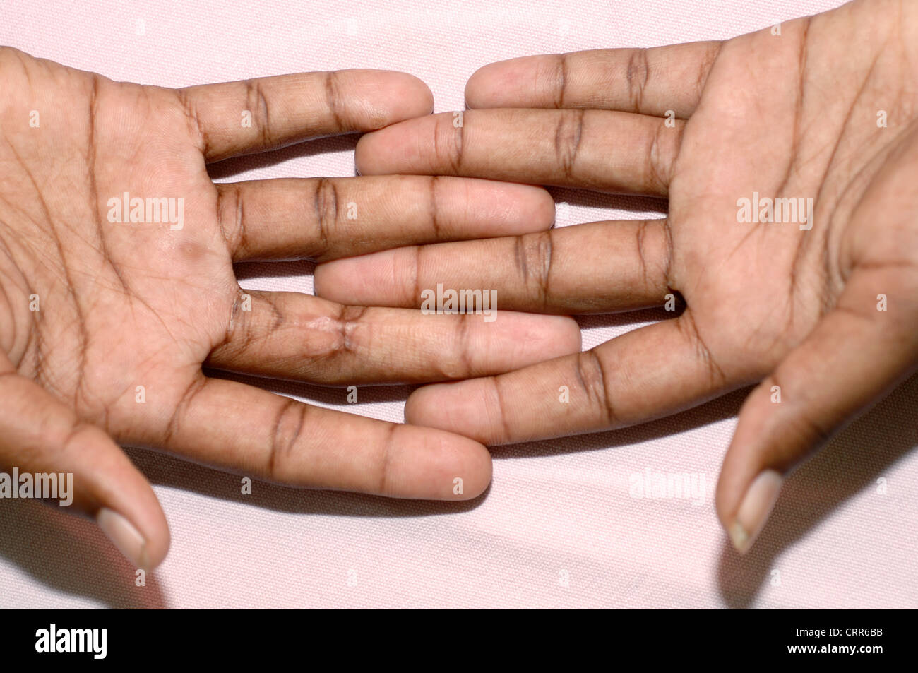 Woman Open Hand Ready To Seal A Deal Shaking Hand On Grey Background Close  Up Macro