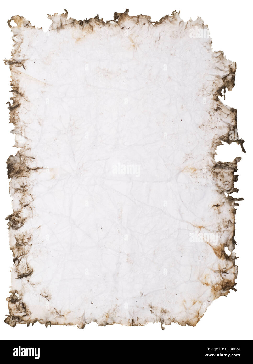 12 Vintage Paper Textures with Rough Edges and Transparent Backgrounds