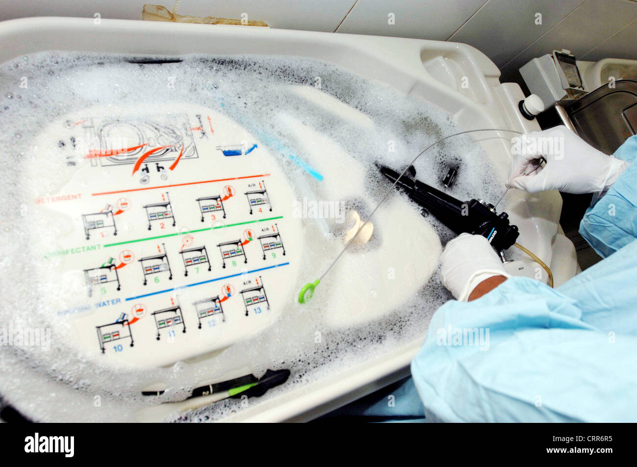 Cleaning of an endoscope postprocedure Stock Photo Alamy