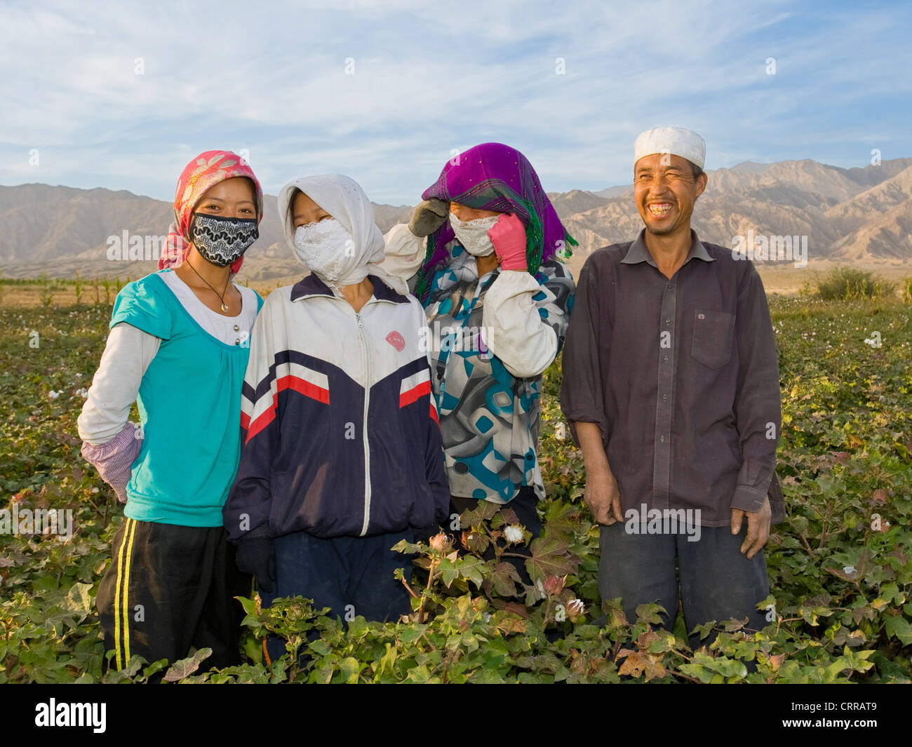 A Uyghur Chinese family picking cotton from their field pose for the camera. Stock Photo