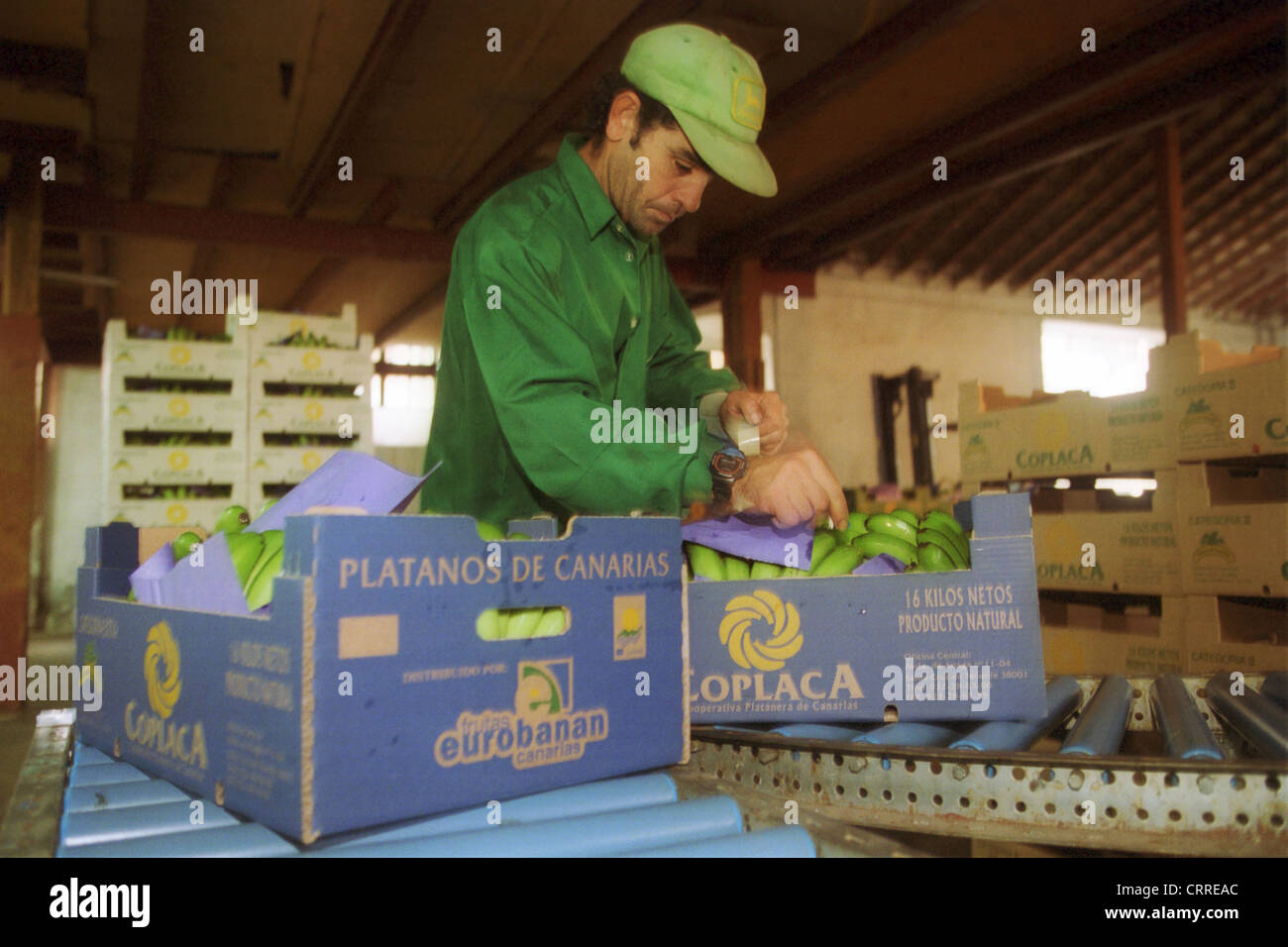 A worker packed bananas in a banana factory Stock Photo Alamy