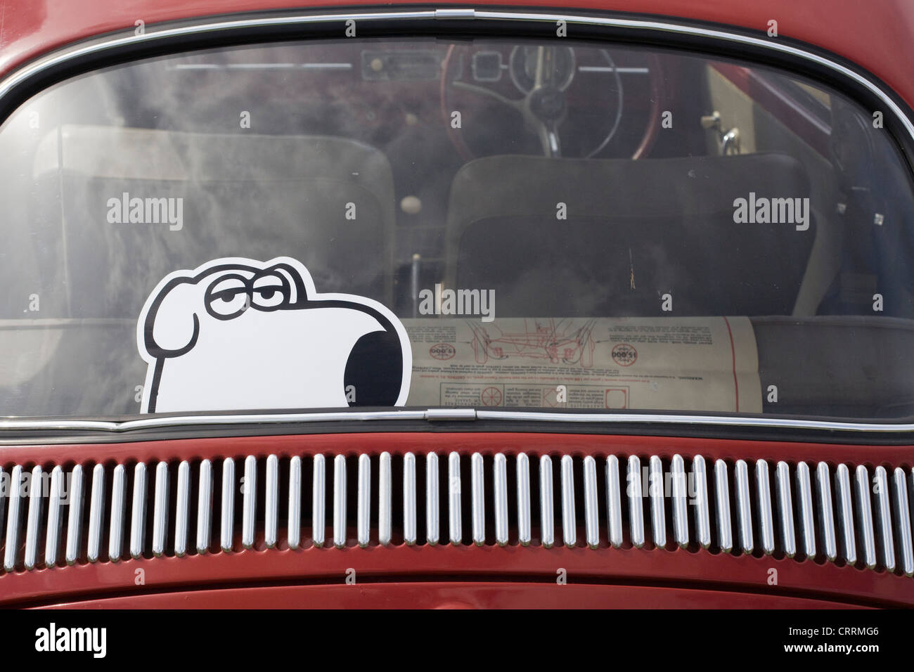 VW Volkswagen beetle car with Brian from the family guy dog sticker in the back window Stock Photo
