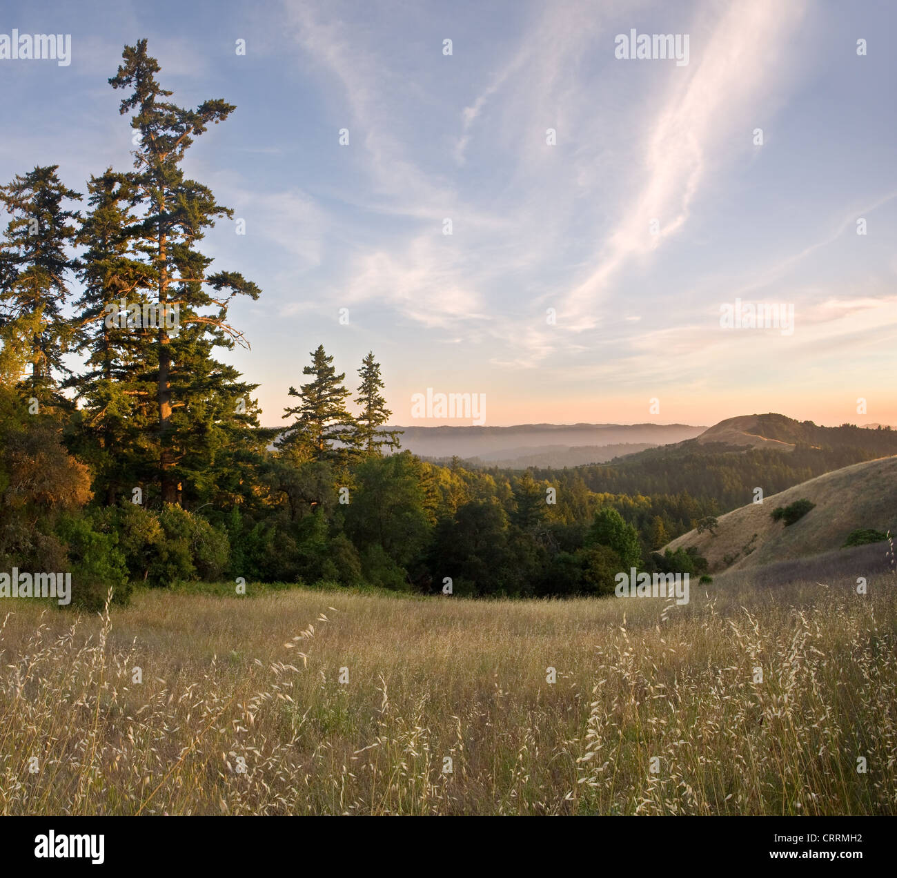 Peaceful Santa Cruz Mountains Hi res Stock Photography And Images Alamy peaceful-santa-cruz-mountains-hi-res-stock-photography-and-images-alamy