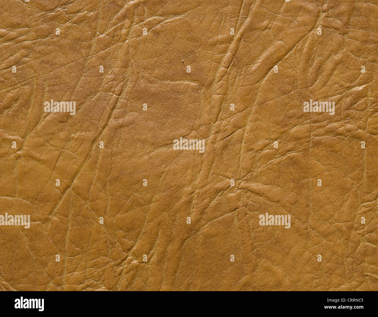 rough leather great as a background Stock Photo Alamy