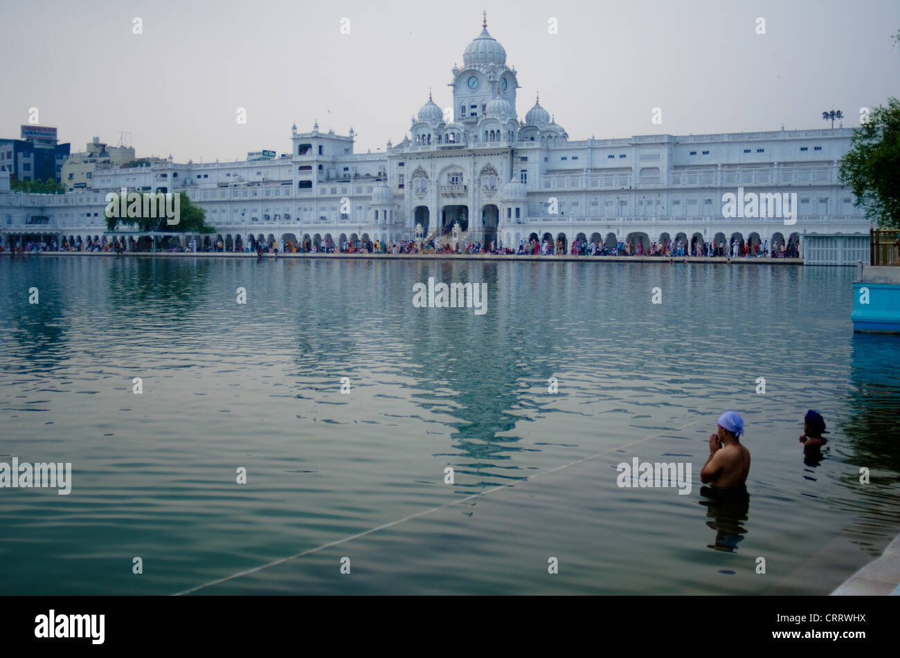 Men bath in the central pool at the Golden Temple, the Sikhs holiest place, in Amritsar, India. Stock Photo