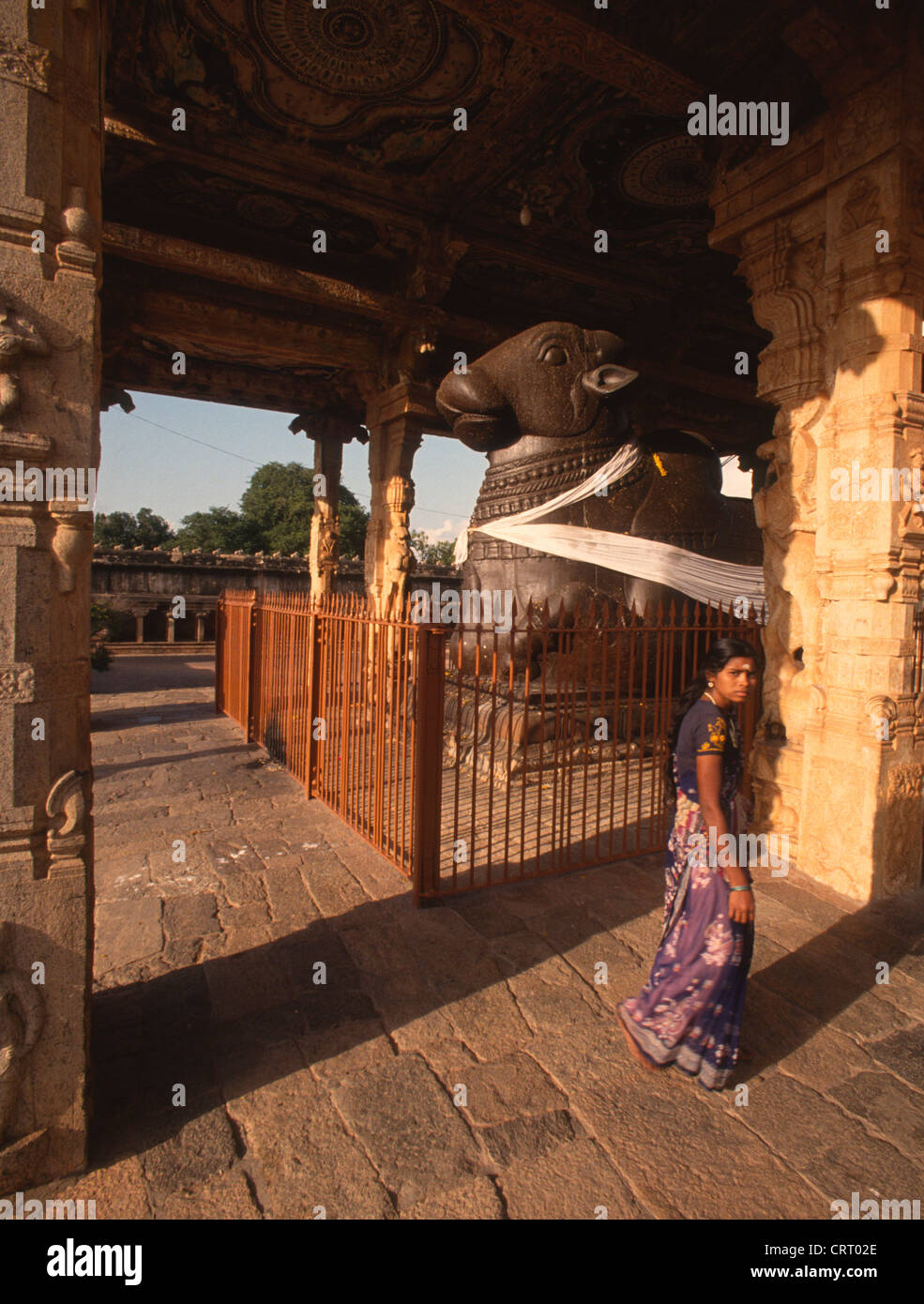 India, Tamil Nadu, Thanjavur, Brihadeshwara Temple, Nandi bull statue