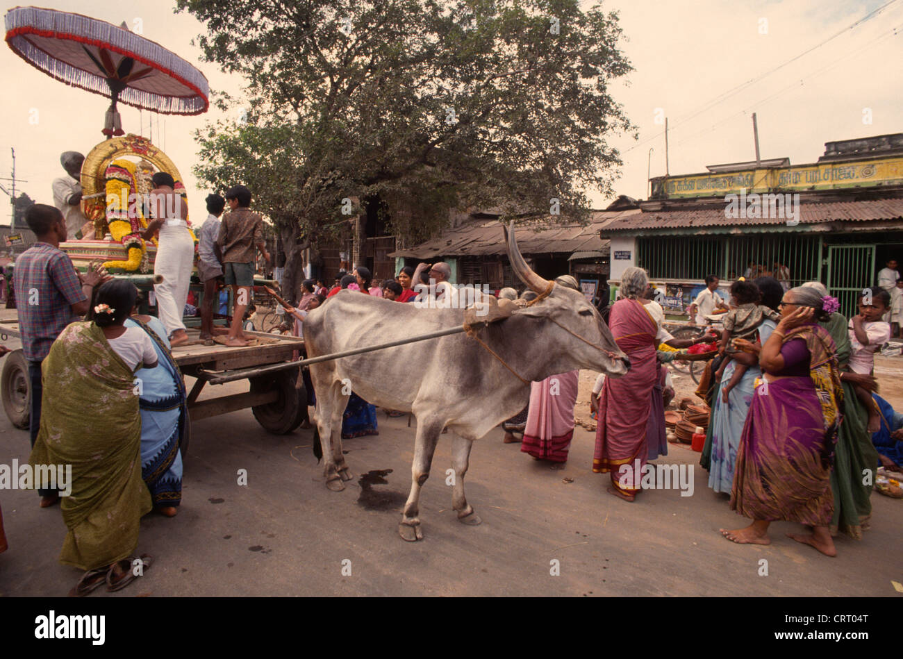 India, Tamil Nadu, Kanchipuram, street scene, religious procession ...