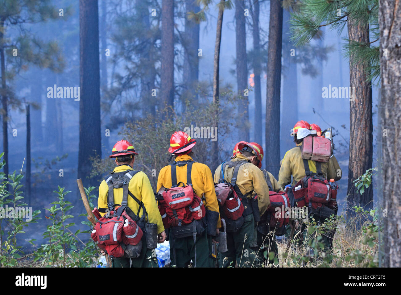 U.S. Forest Service fire crew members prepare to fight a forest fire near Bonner, Montana, USA. Stock Photo