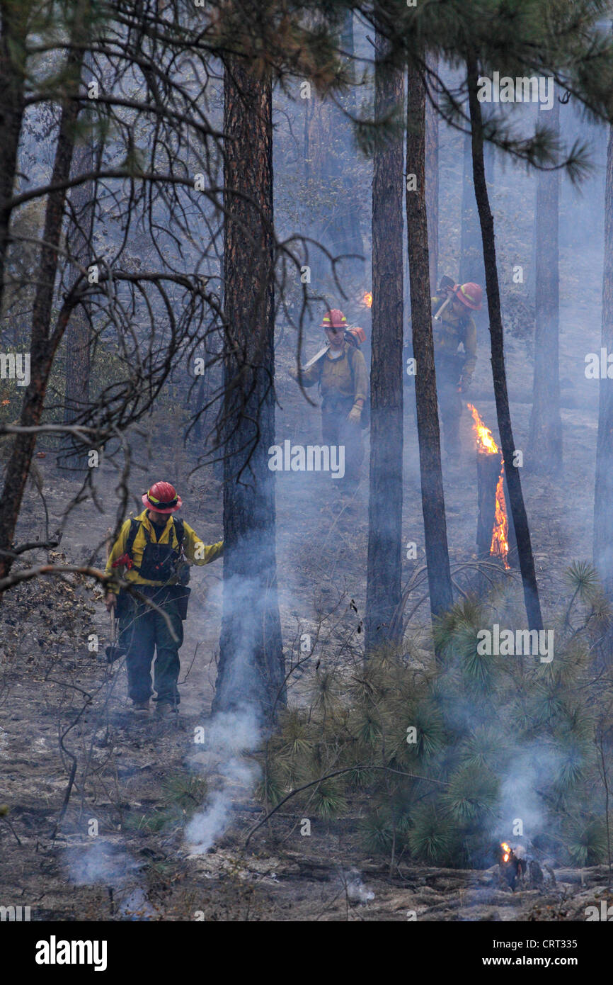 U.S. Forest Service fire crew members fight a forest fire near Bonner, Montana, USA. Stock Photo