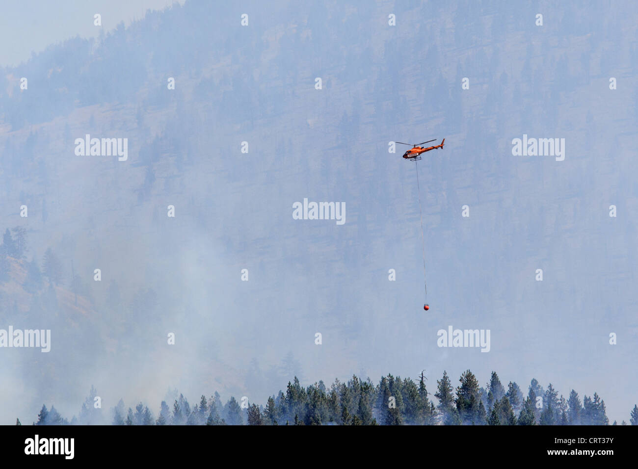 A U.S. Forest Service helicopter carries water to a forest fire near Bonner, Montana, USA Stock Photo