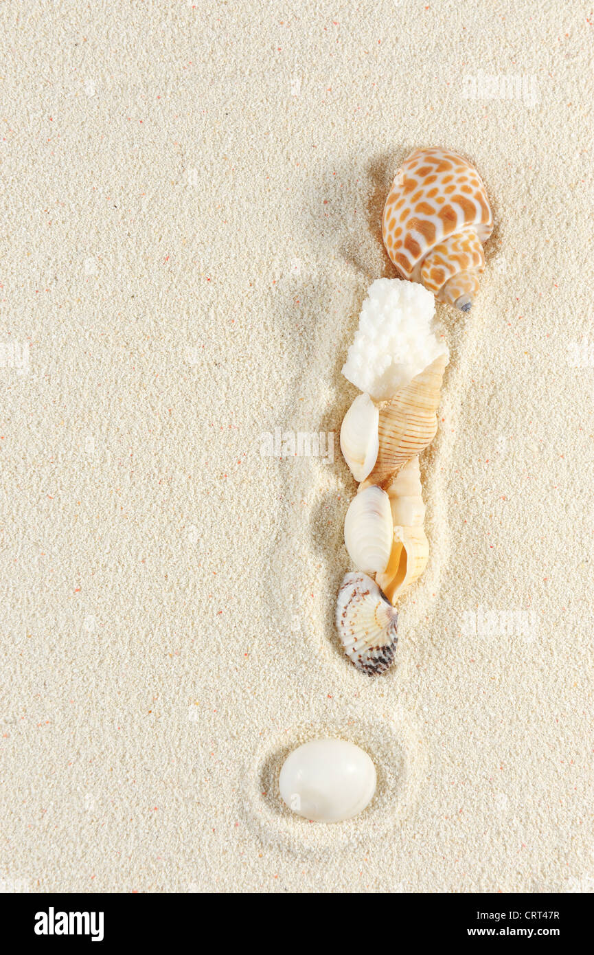 Exclamation mark made of seashells on the sand Stock Photo - Alamy