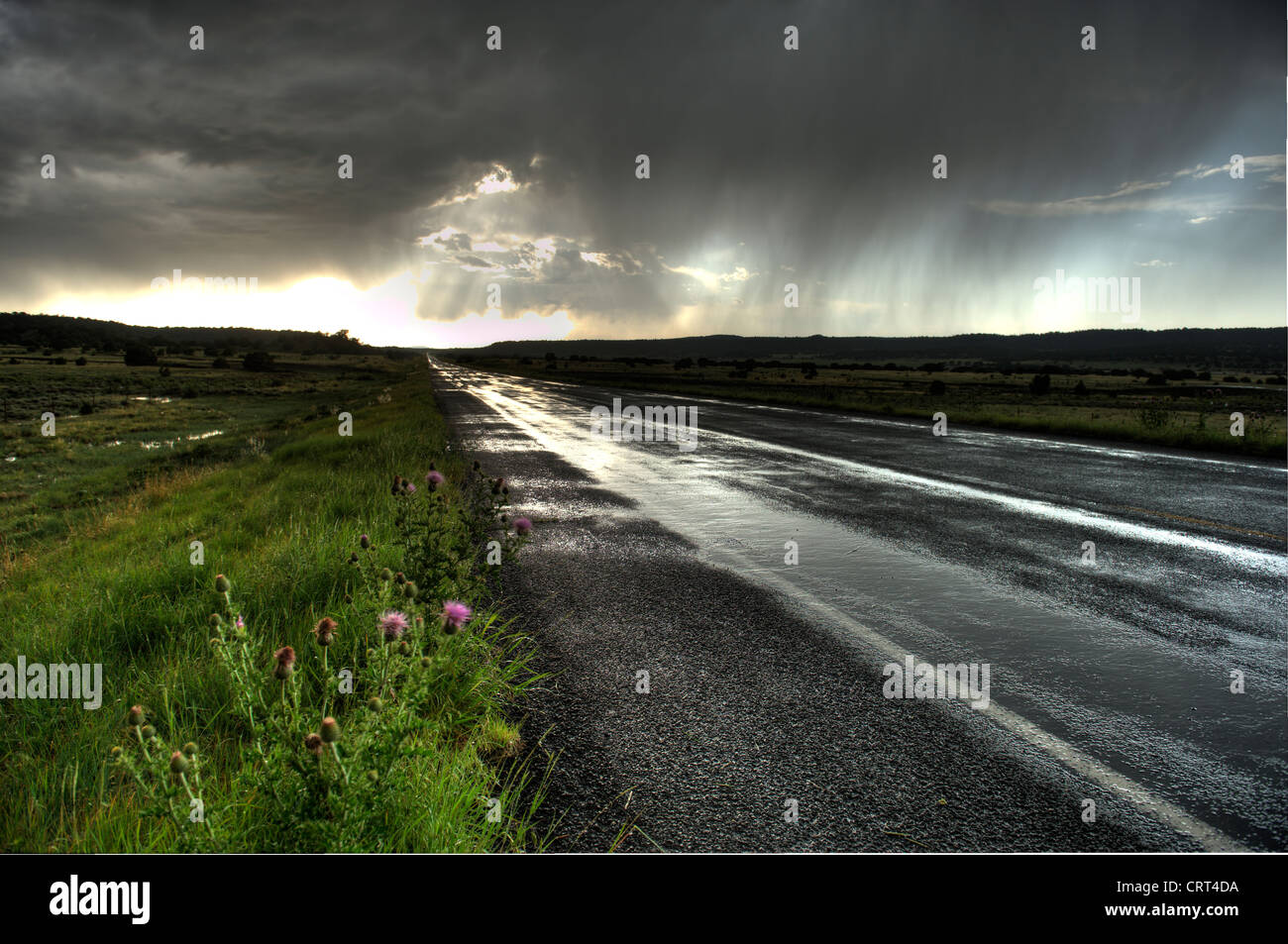 A summer thunderstorm left the roads wet in Roy, New Mexico Stock Photo