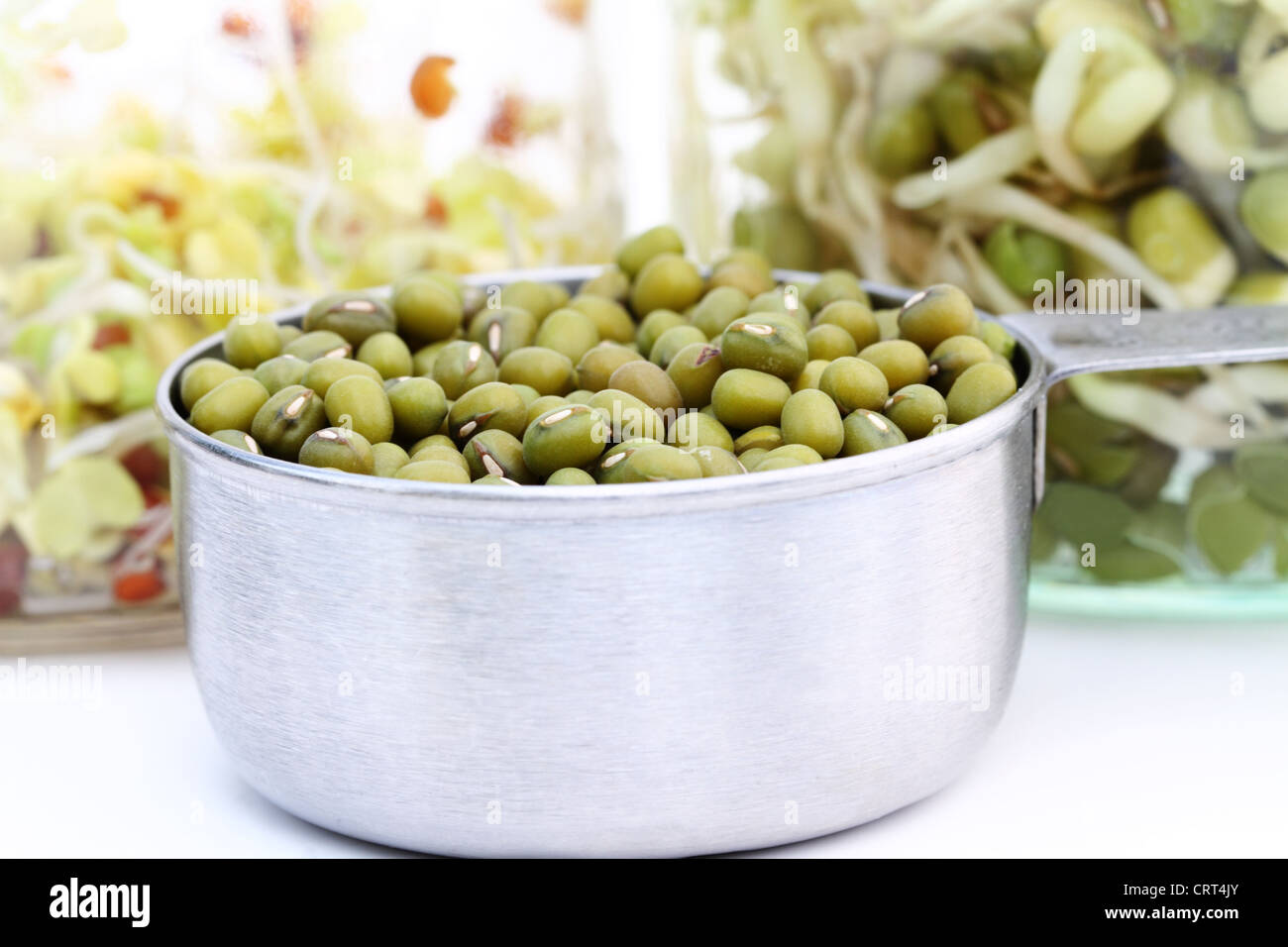 Mung bean sprouts hi-res stock photography and images - Alamy