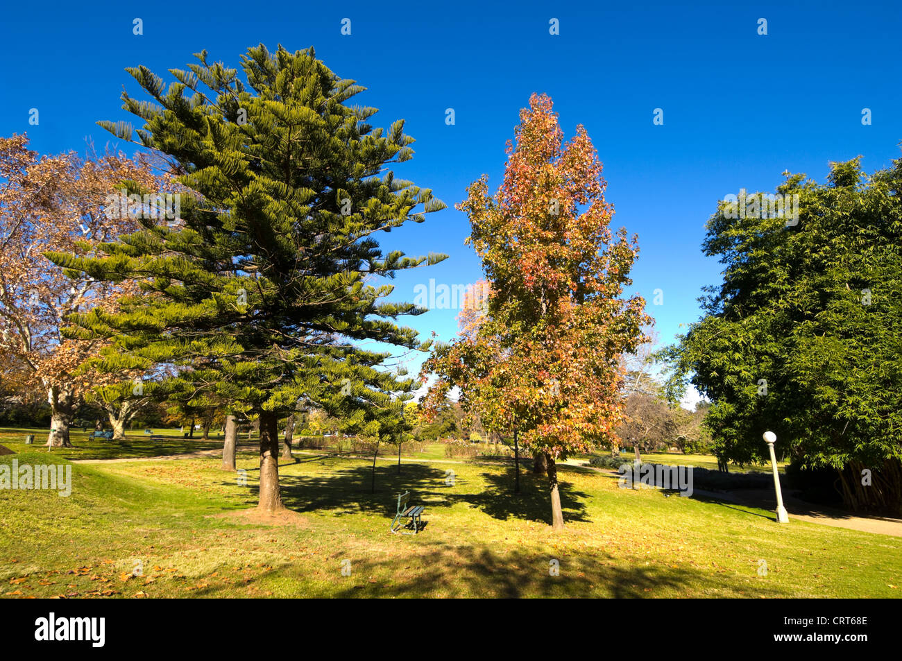 Wagga wagga botanic gardens hires stock photography and images Alamy