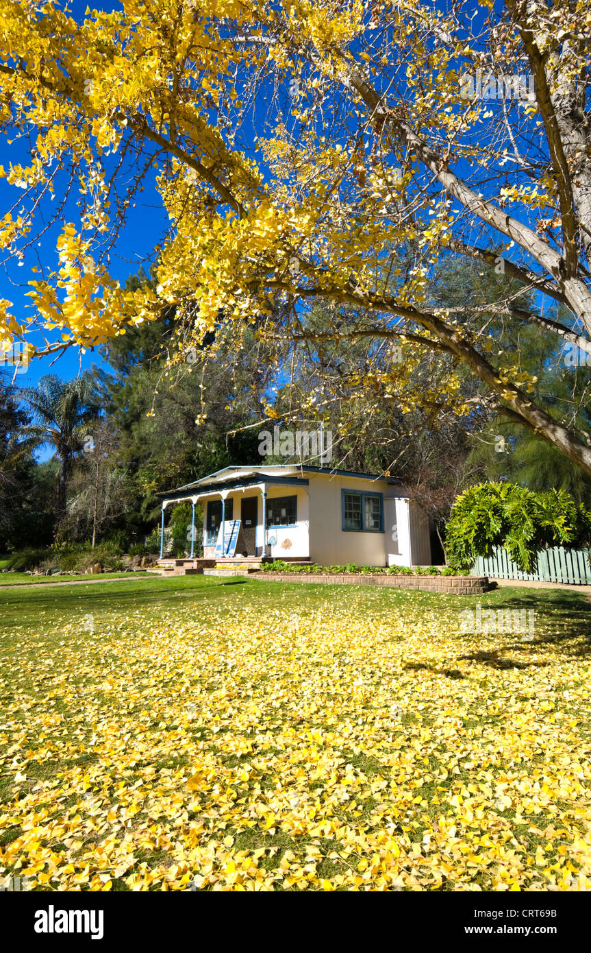 WaggaWagga, Botanic Gardens, New South Wales, NSW, Australia Stock