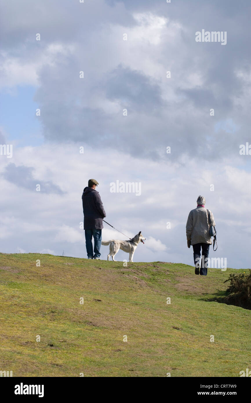 Recreational walking with a dog. Countryside access. Norfolk Stock