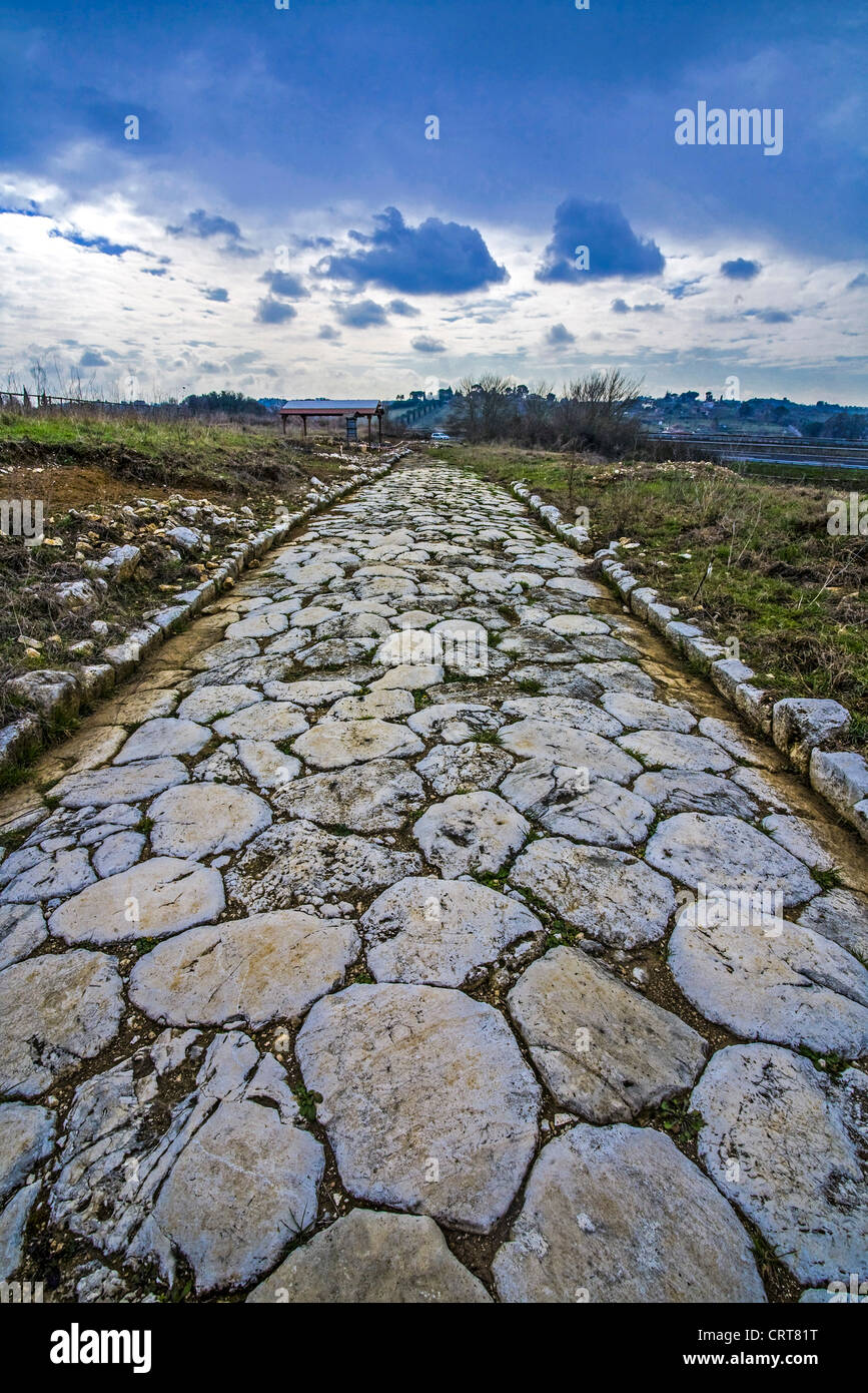 Nomentum eretum hires stock photography and images Alamy