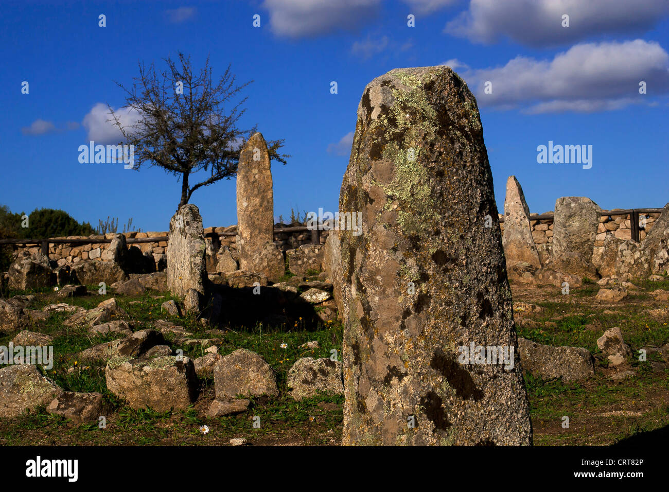 Europe Sardinia Province of Oristano Azachena Necropolis Archeological Site  Li Muri Stock Photo