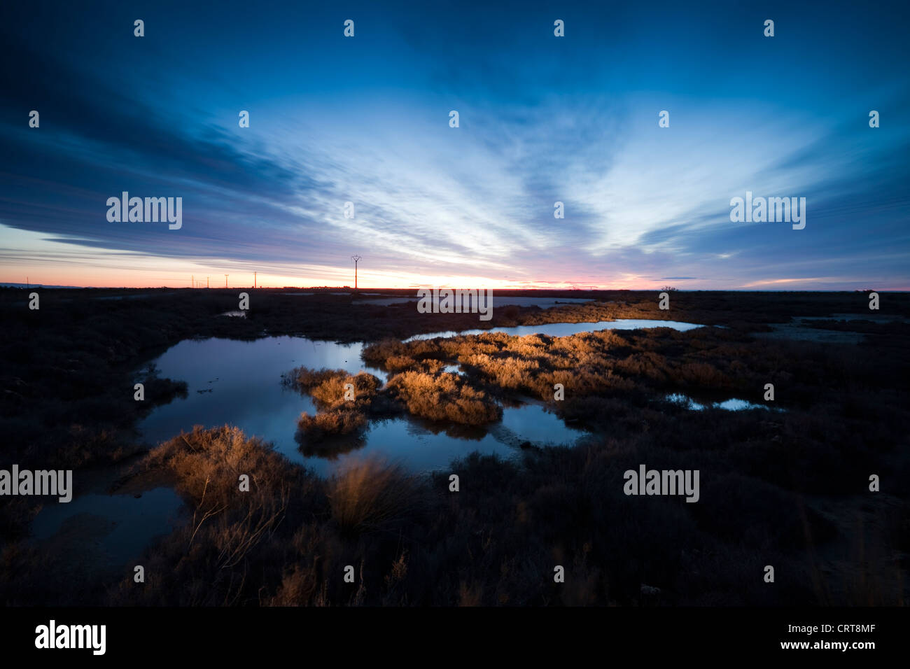 Sunrise at Delta del Ebro natural park Stock Photo