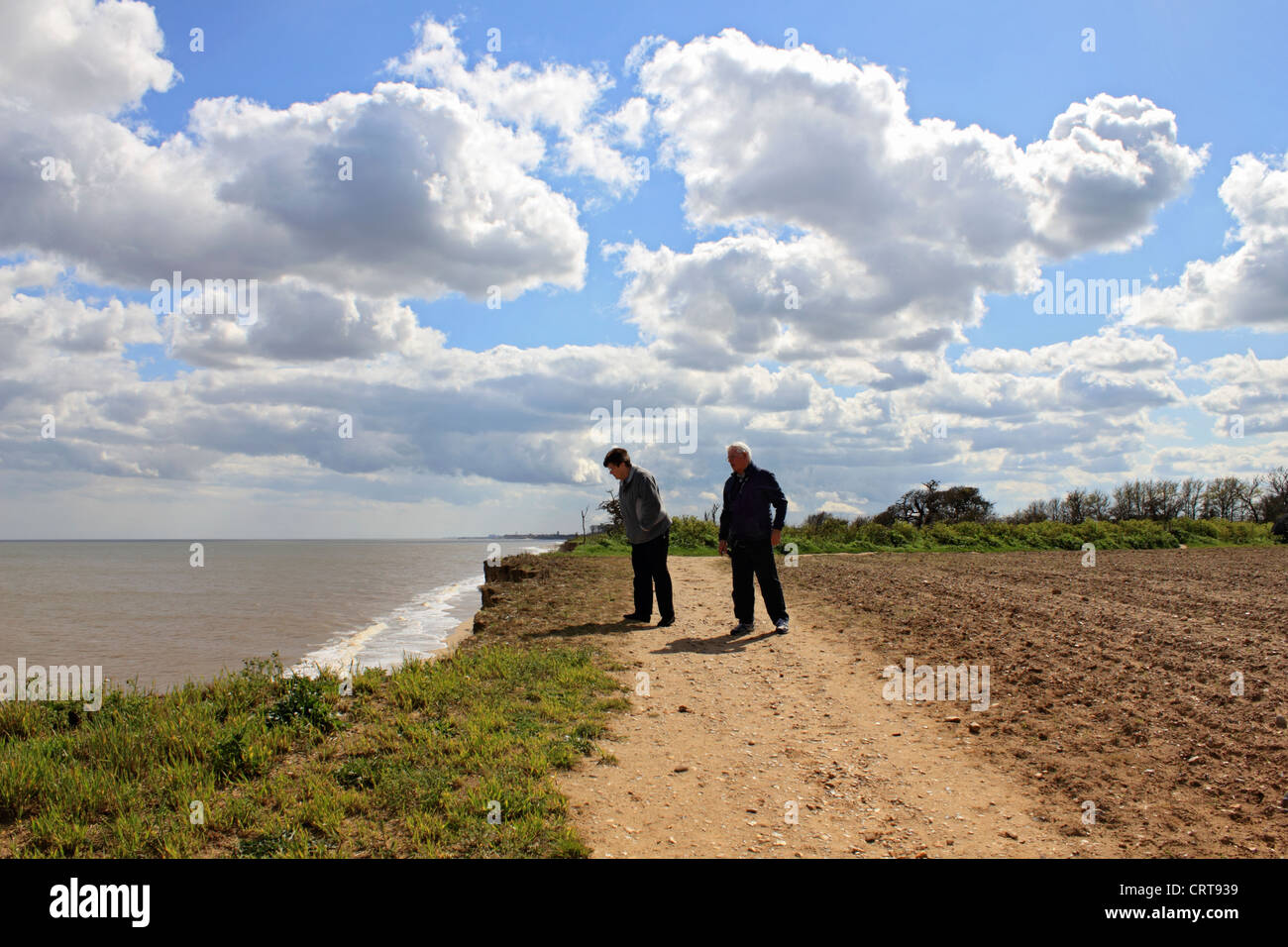 Couple on cliff top subject to coastal erosion at Covehithe Suffolk England UK Stock Photo Alamy