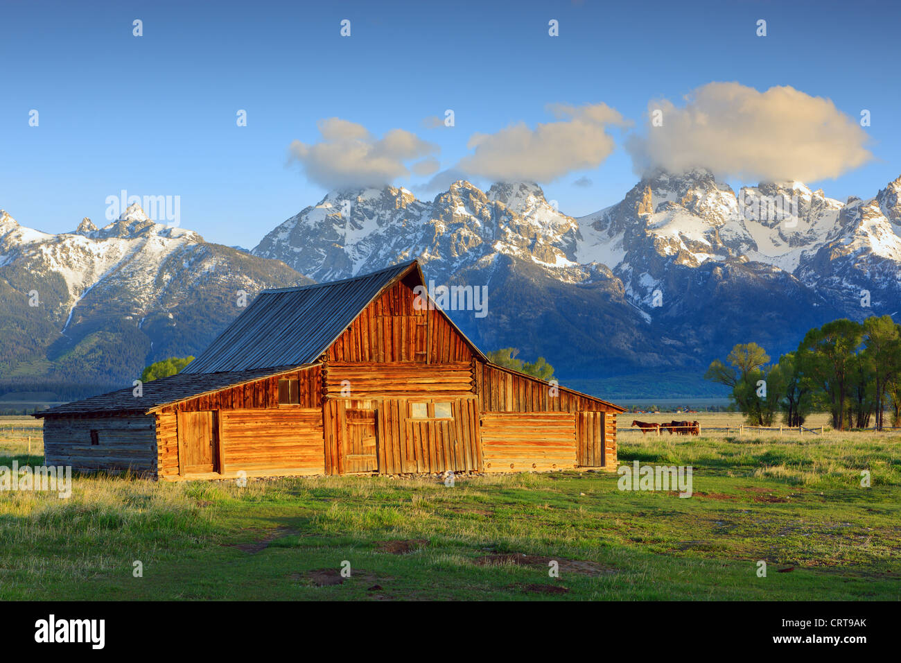 Thomas A. Moulton's barn on Mormon Row in Grand Teton National Park Stock Photo