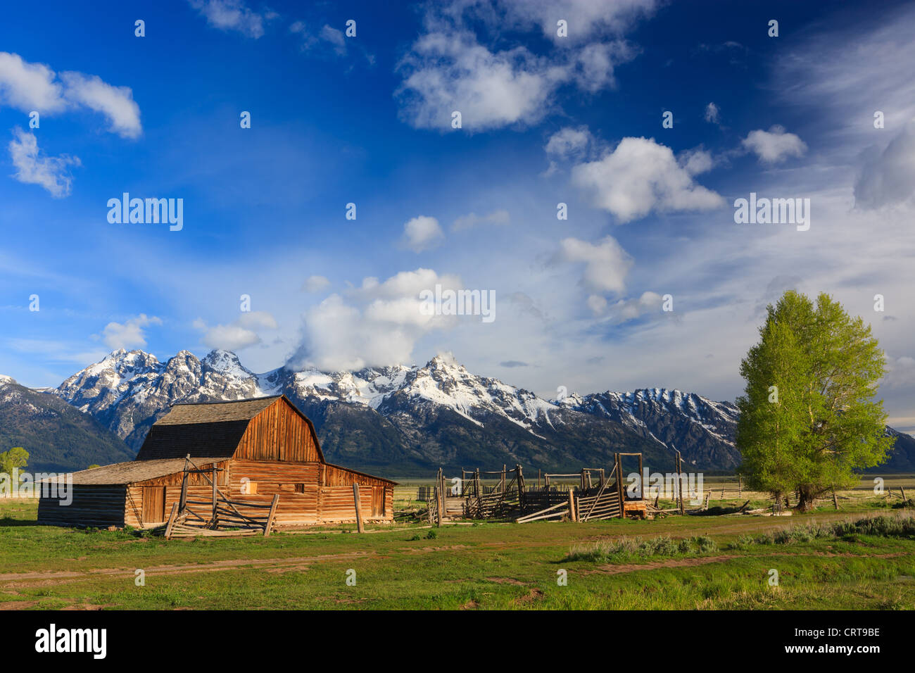 T.A Moulton Barn in Grand Teton National Park Stock Photo - Alamy