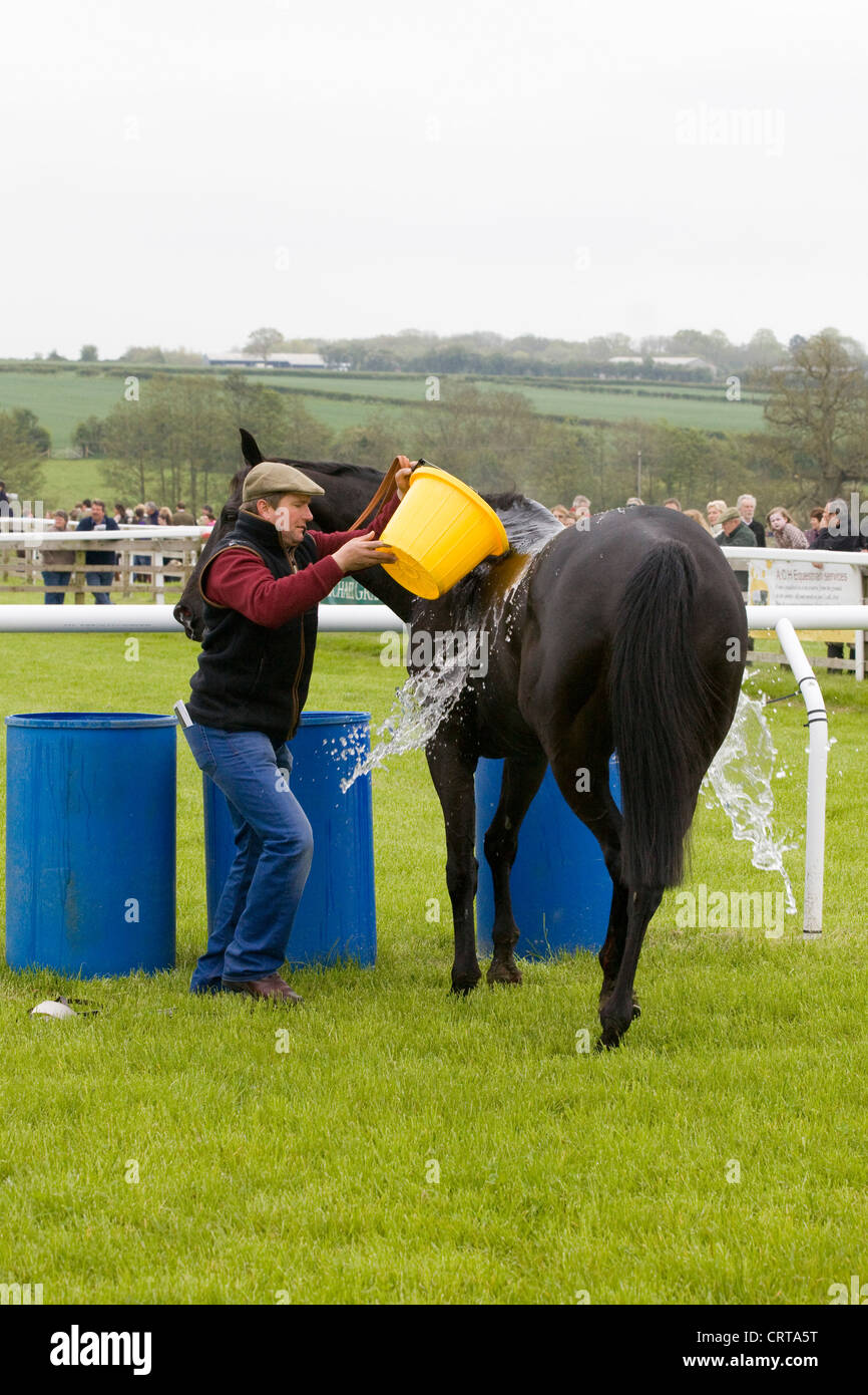 Race horse cooling down in hires stock photography and images Alamy