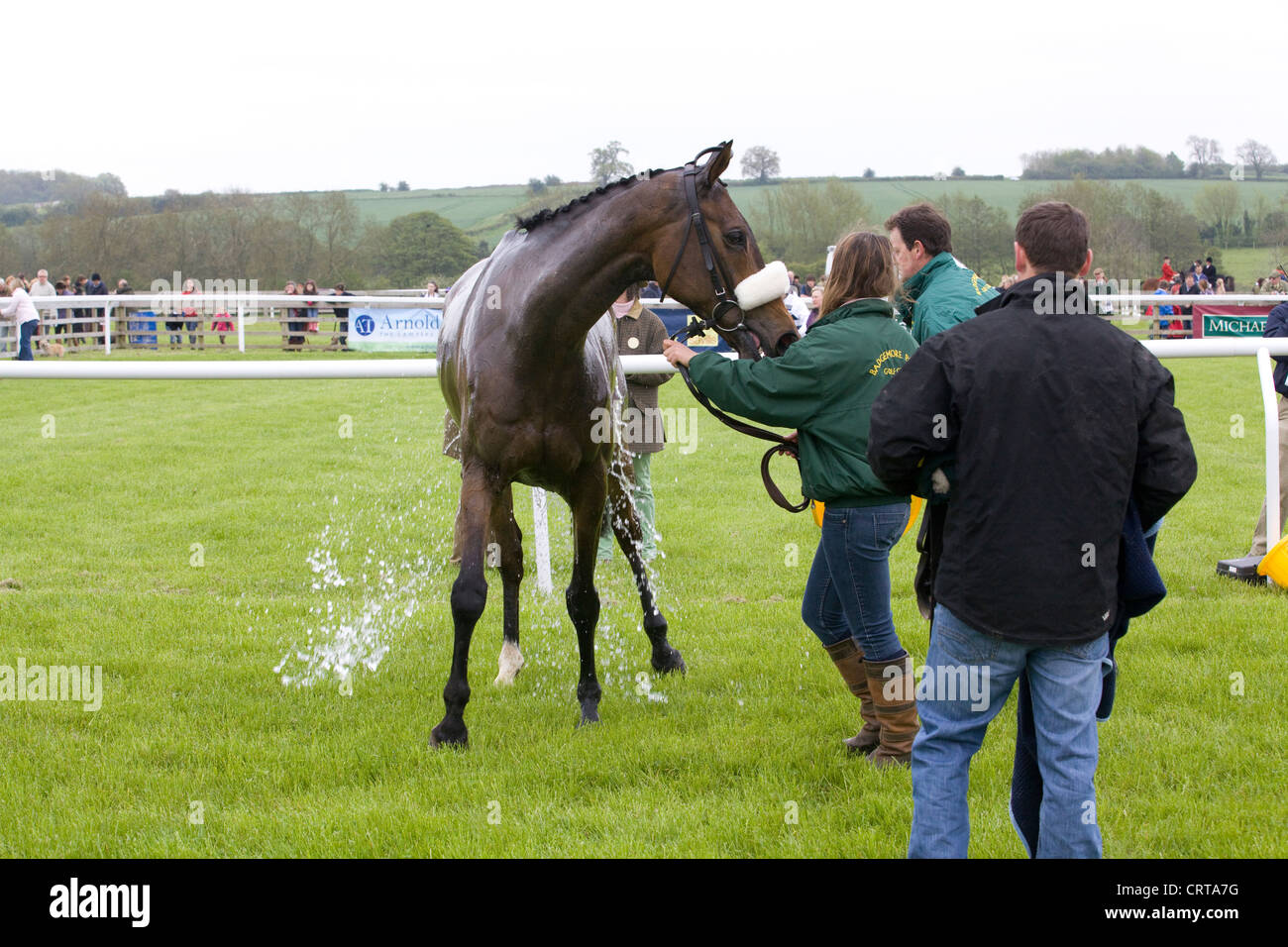 Grooms cooling down a race horse after a horse race in England Stock Photo Alamy
