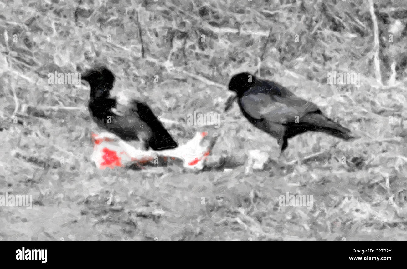 Two crows and the bone. A picture-stylized photo Stock Photo