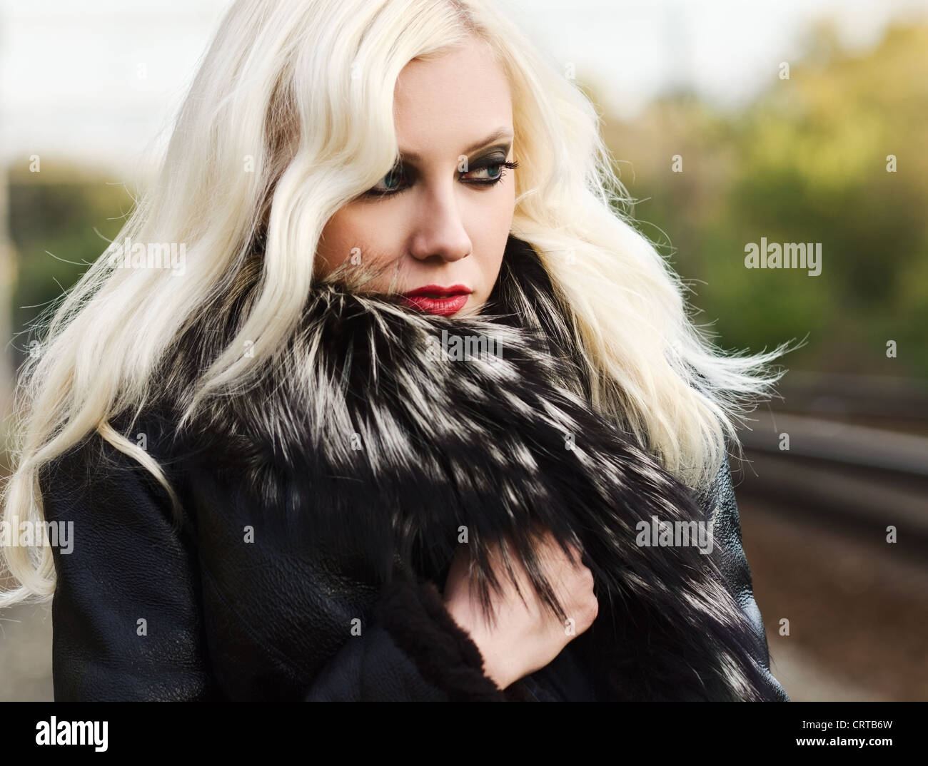 Beautiful blonde in black fur coat hi-res stock photography and images ...